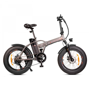 Monster Bike Pieghevole M1PLUS 2021